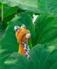 Moulin Roty - Az esőerdőben - Leopárd plüss csörgő - Taigo 