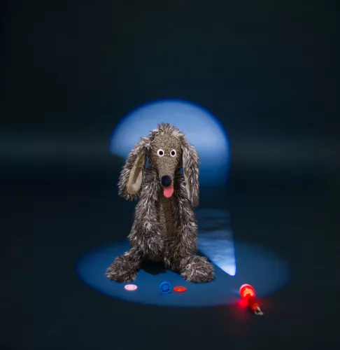Moulin Roty - Szabadidő suli - Nagy kócos kutya