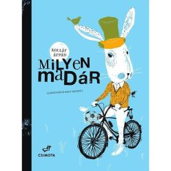 Csimota - Milyen madár
