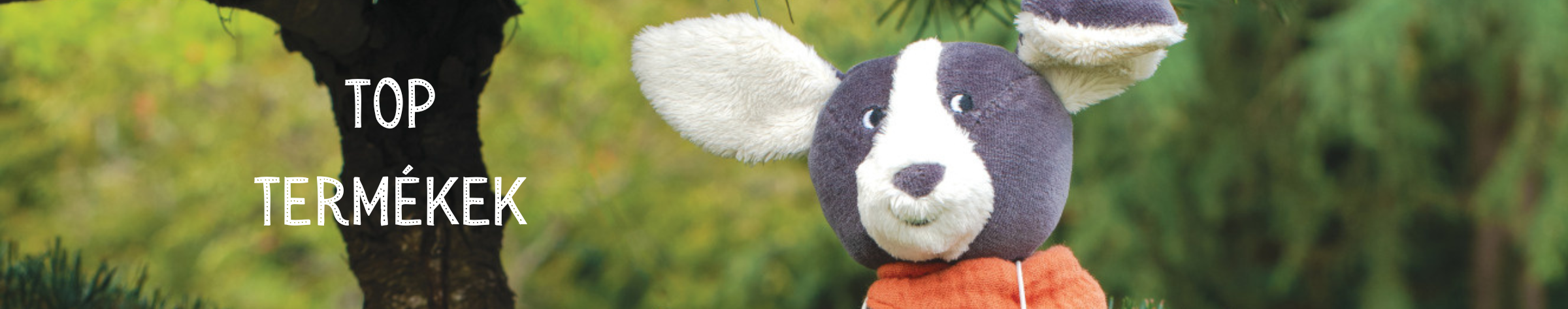 pamacsbanner.png